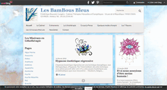 Desktop Screenshot of lesbambousbleus.net